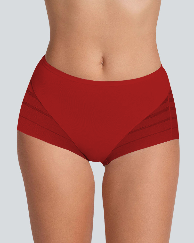Confident Tummy-Control Mesh Briefs in Grey Blue - Tummy Control | Lumisensy